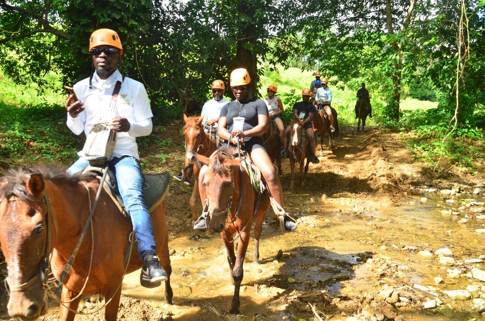 7-in-1 Experience (Zipline) - Photo 3