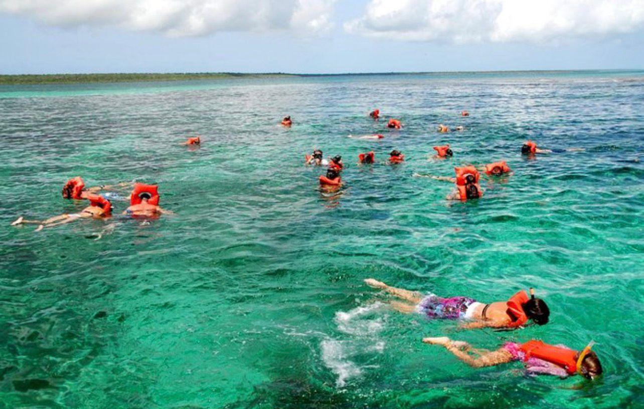 Isla Catalina Experience + Snorkeling - Photo 2