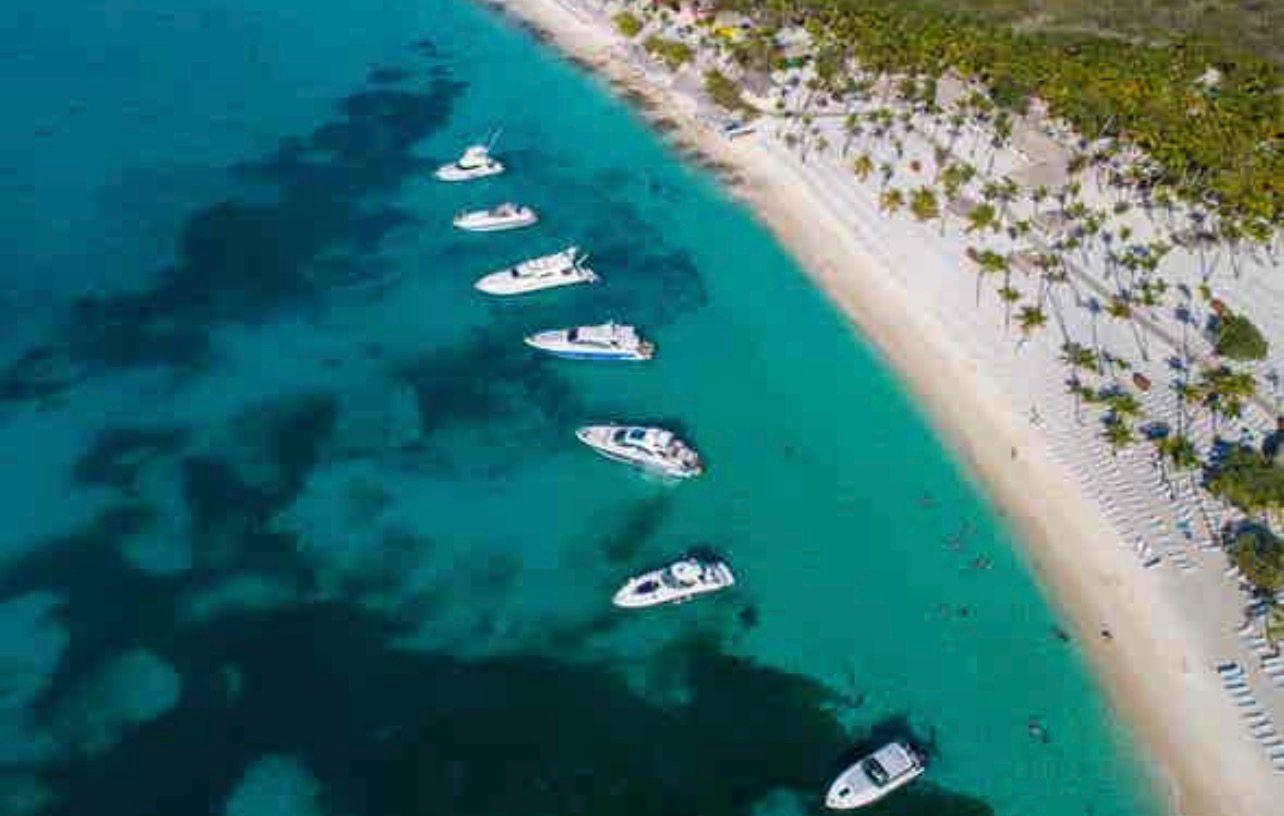 Isla Catalina Experience + Snorkeling - Photo 3